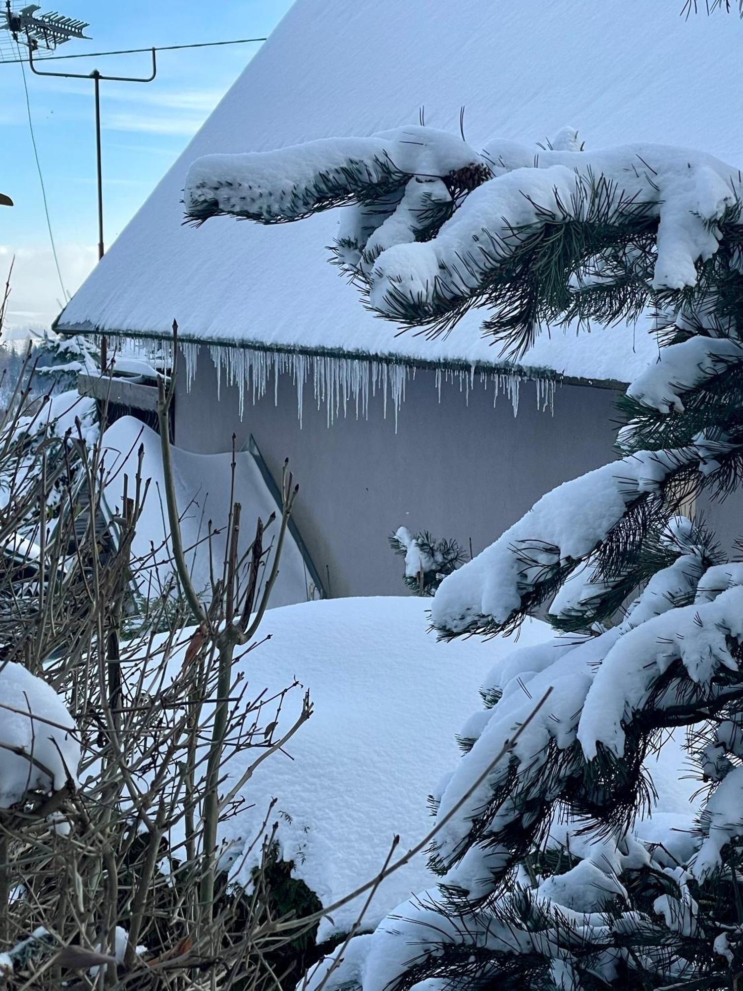 Rekreacni Horska Chata Na Nove Vsi 90 Dolní Moravice Exterior photo